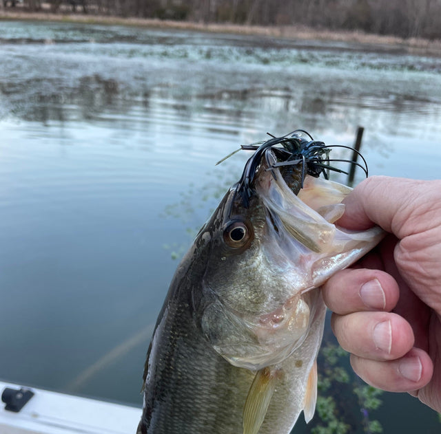 The Gospel According to Bass Fishing Beliefs