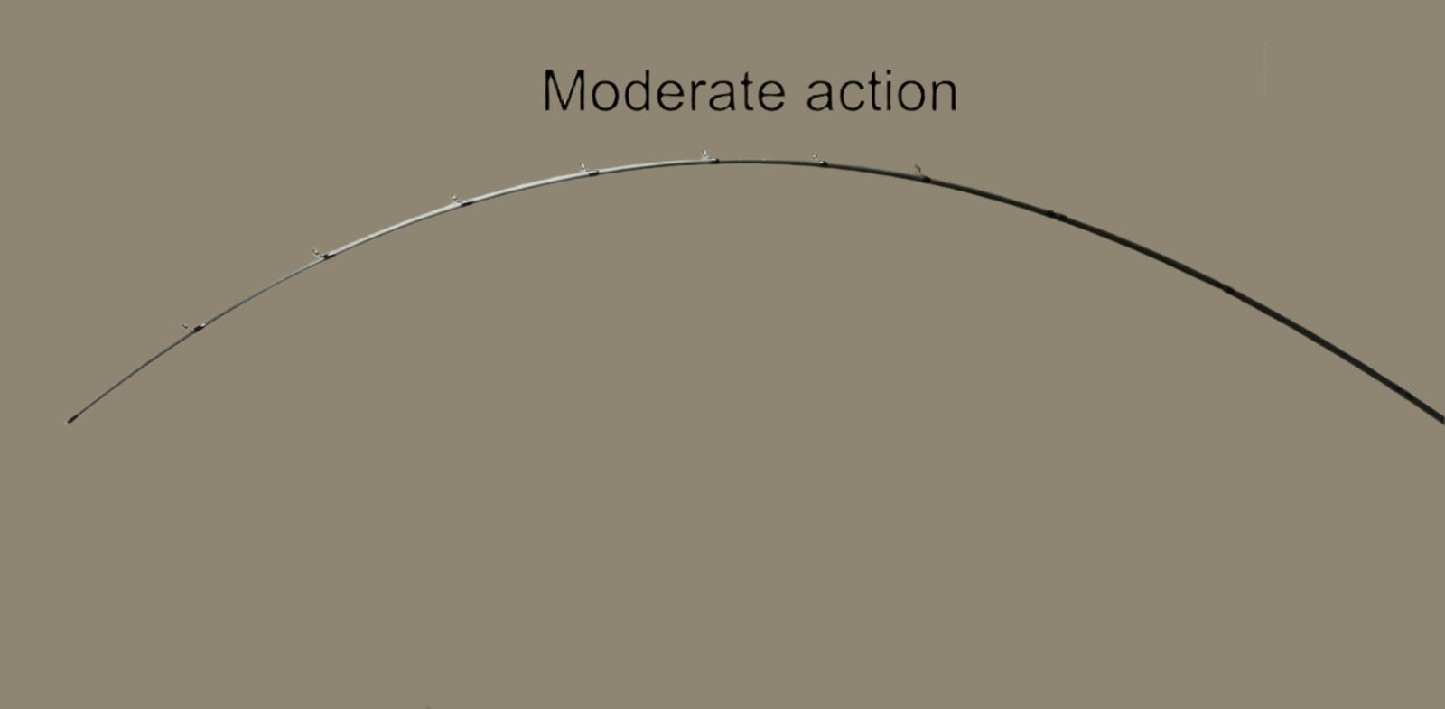 Decoding Bass Rod Actions: Fast, Moderate, Slow Explained for Specific Lures