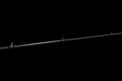 Coosa medium casting rod, Keeper Rods, best fishing rods for bass, factory direct, free shipping, fishing rods near me, warranty, high quality, 