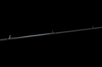 Coosa medium casting rod, Keeper Rods, best fishing rods for bass, factory direct, free shipping, fishing rods near me, warranty, high quality, 