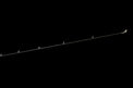 Coosa medium casting rod, Keeper Rods, best fishing rods for bass, factory direct, free shipping, fishing rods near me, warranty, high quality, 