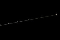 Coosa medium casting rod, Keeper Rods, best fishing rods for bass, factory direct, free shipping, fishing rods near me, warranty, high quality, 