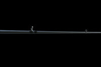 The Doozie Series 73 H+ Frog & Jig Power Casting Rod by Keeper Rods-Doozie is a black rod with a cork handle and red accents. It features an NFC IM intermediate modulus blank for enhanced performance and is displayed on a solid black background, angled from bottom left to top right.